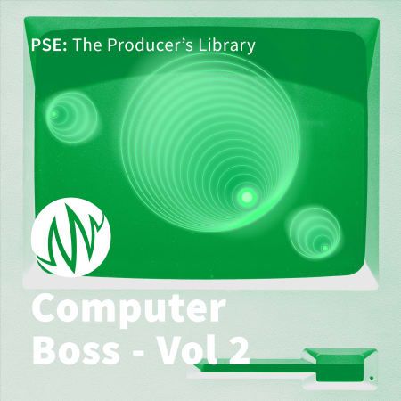 Computer Boss Vol. 2 WAV-FLARE